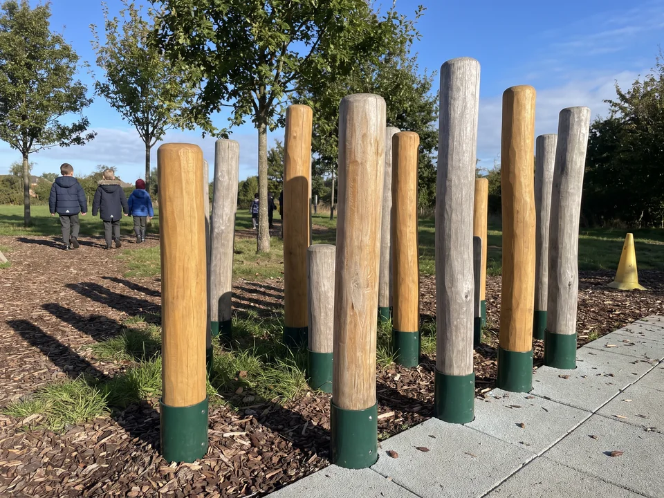 A group of Robinia stepping posts of different heights, each in a steel shoe