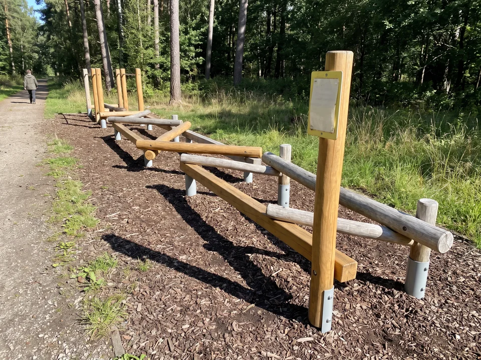 A Robinia balance trail of debarked beams and logs laid at ground level beside a gravel park path at a woodland edge