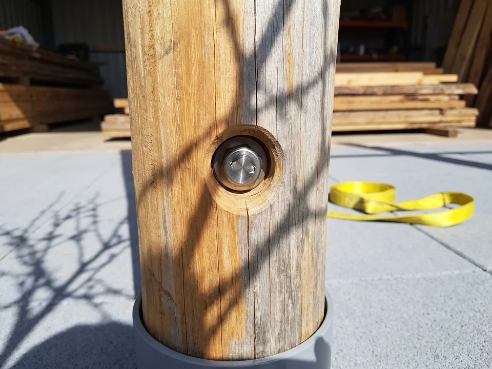 A capped stainless tamper-resistant through-bolt head on a debarked Robinia upright, the drilled hole edge chamfered