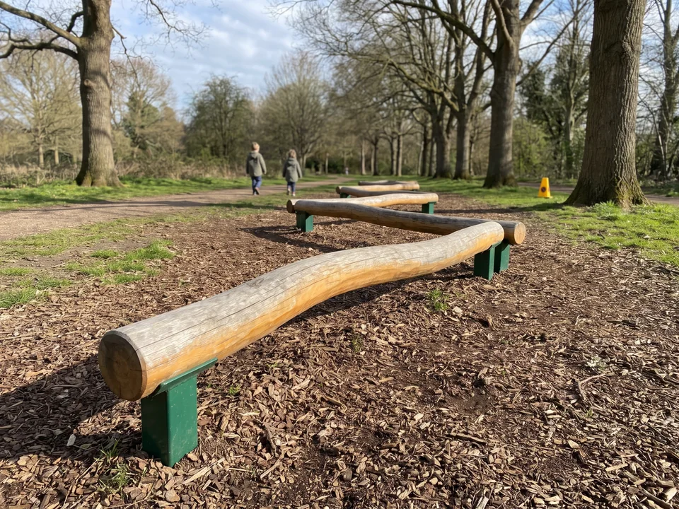 A Robinia balance trail running between trees along a path