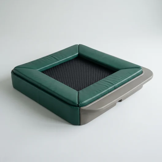 SP-15 built-in mini trampoline